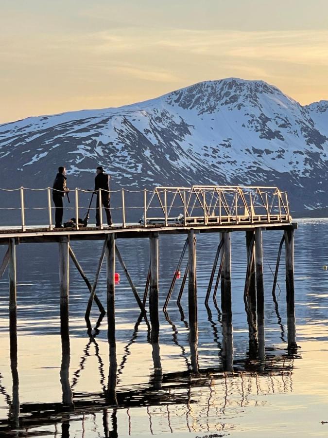 Skittenelv Lodge & Camping Tromsø Exterior foto